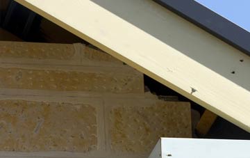 soffit repair Milkwall